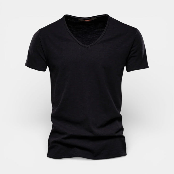 Michael Sydney men's two-pack v-neck t-shirt, front view